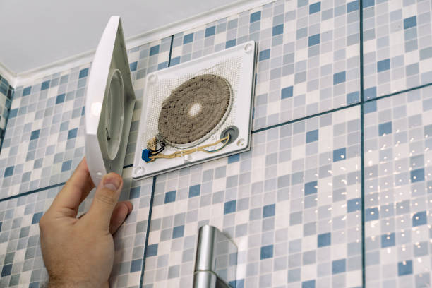 Best Ductwork Cleaning Services  in Lacoochee, FL
